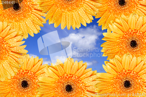 Image of Bright Daisy Frame