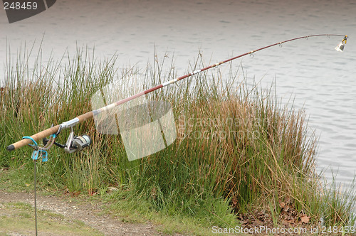 Image of Fishing