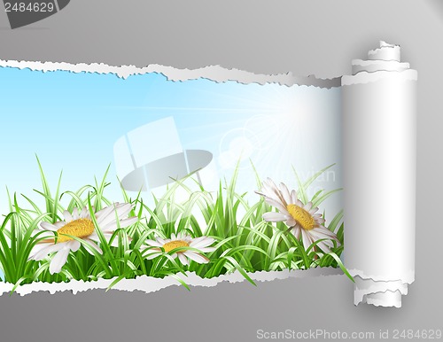 Image of Torn paper with summer background.