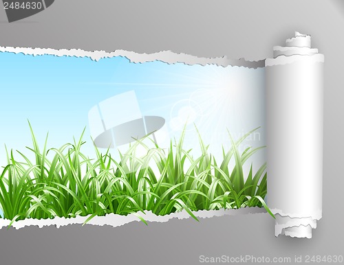 Image of Torn paper with grass background.