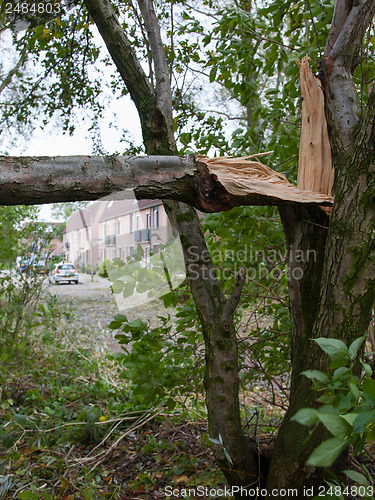 Image of LEEUWARDEN, NETHERLANDS, OKTOBER 28, 2013: Massive storm hit the