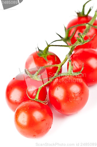 Image of fresh organic cherry tomatoes