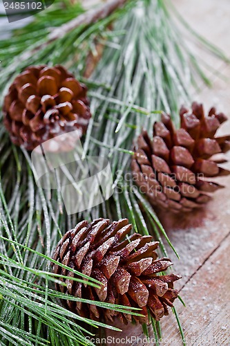 Image of christmas fir tree with pinecones 