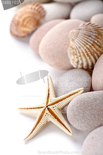 Image of pile of stones, shells and sea star