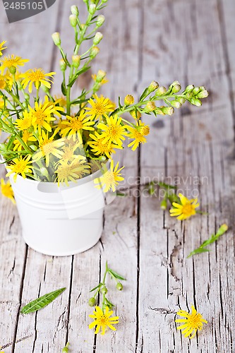 Image of wild yellow flowers in bucket 