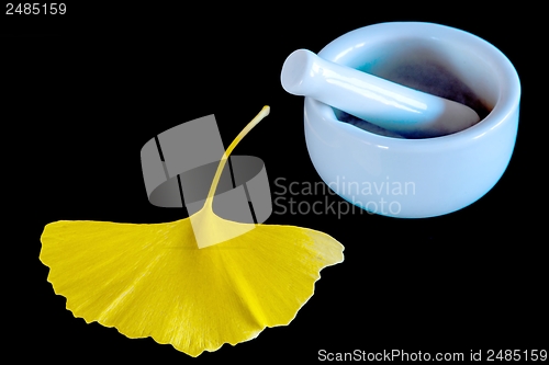 Image of Ginkgo, chinese medicine