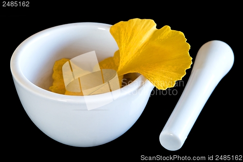 Image of Ginkgo, chinese medicine