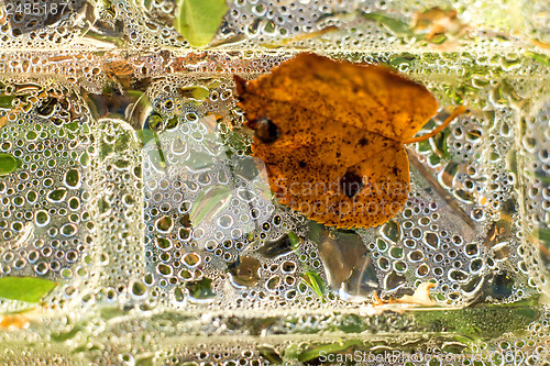 Image of box with rain drops and autumnal leaf 