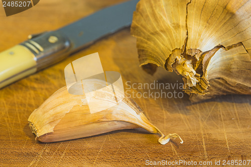 Image of red garlic of France