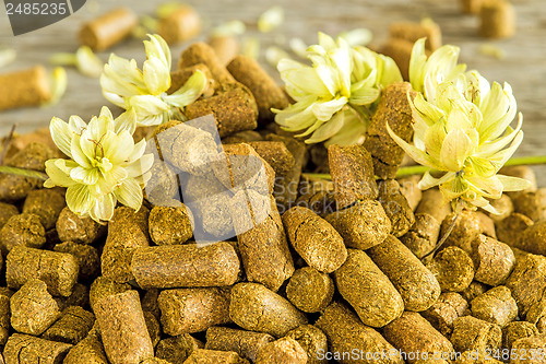 Image of hops pellets