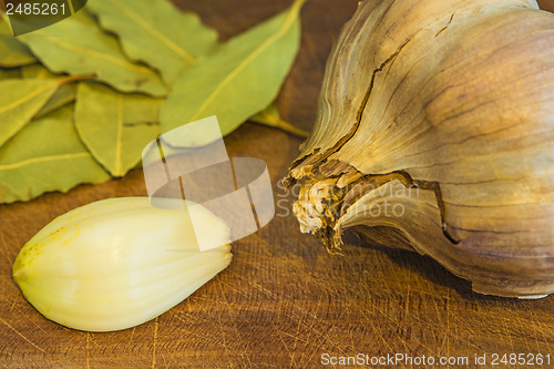 Image of red garlic of France