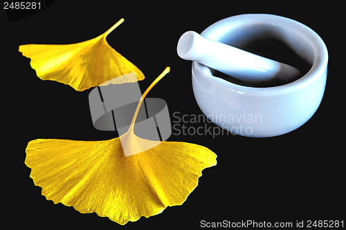 Image of Ginkgo, chinese medicine