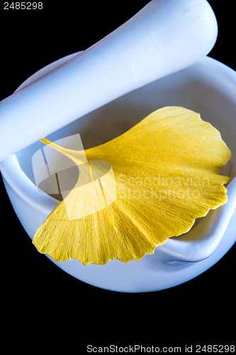 Image of Ginkgo, chinese medicine