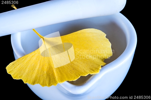 Image of Ginkgo, chinese medicine