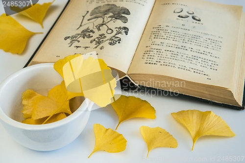 Image of Ginkgo, chinese medicine