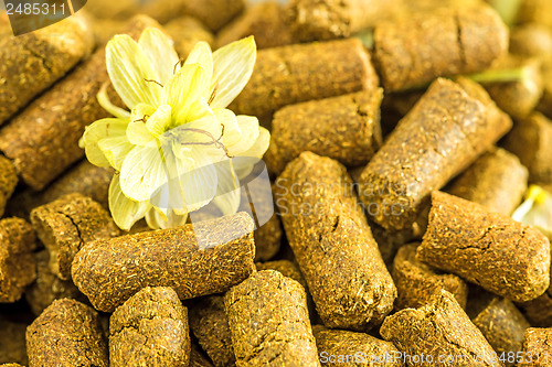 Image of hops pellets