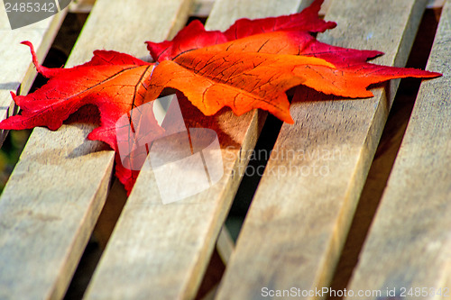 Image of leaf on a garden chair