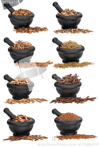 Image of Chinese Herbal Medicine