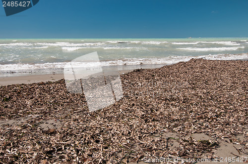 Image of Uncleared beach in low season, Italy