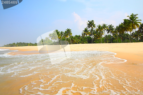 Image of beautiful beach landscape