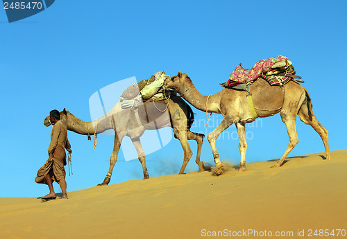 Image of camels in desert