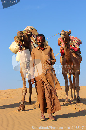 Image of camels in desert