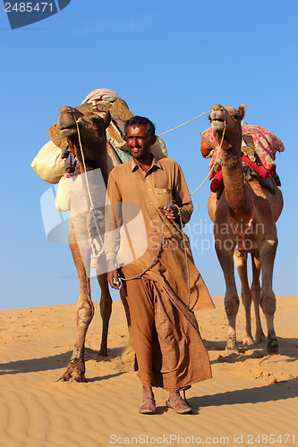 Image of camels in desert