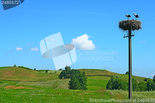 Image of Polish summer landscape