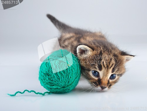 Image of little kitten playing with a ball
