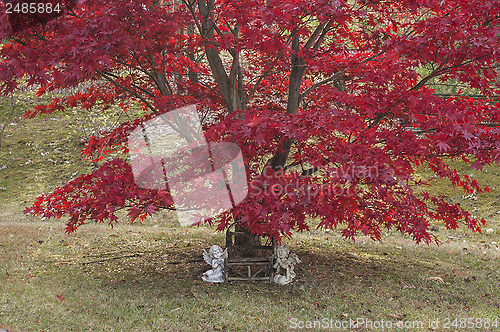 Image of Autumn Cherubs