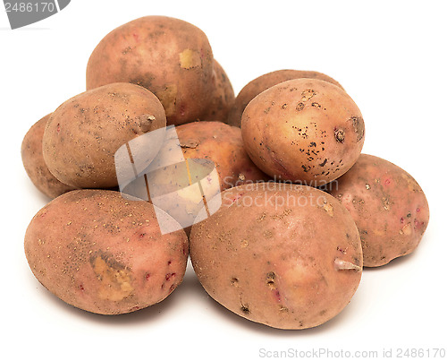 Image of raw potato