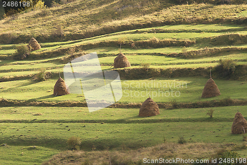 Image of old traditional hay stacks