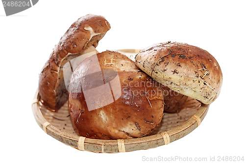 Image of porcini mushrooms on wicker plate