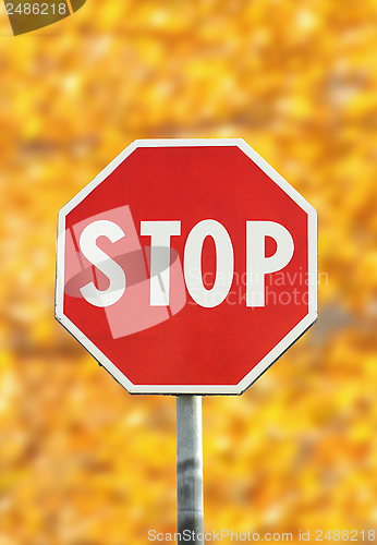 Image of stop traffic sign