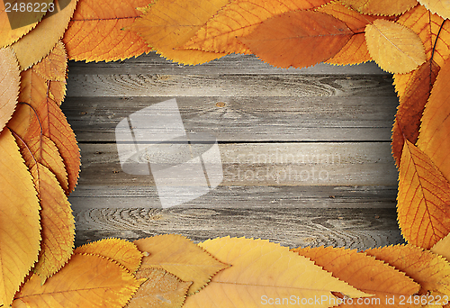 Image of thanksgiving backdrop with cherry leaves