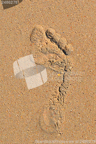 Image of Trace of a bare foot of the person on sand