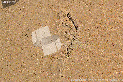 Image of Trace of a bare foot of the person on sand