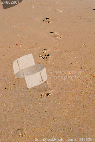 Image of Trace of a bare foot of the person on sand