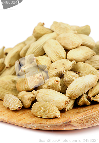 Image of Cardamom