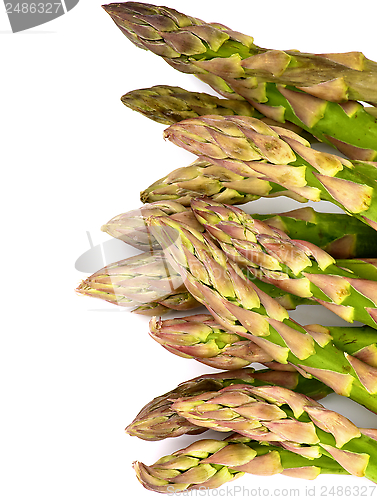 Image of Asparagus Sprouts