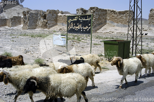 Image of Street scene in Northern Syria, at the Euphrates