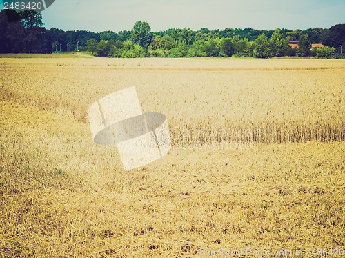 Image of Retro look Harvest picture