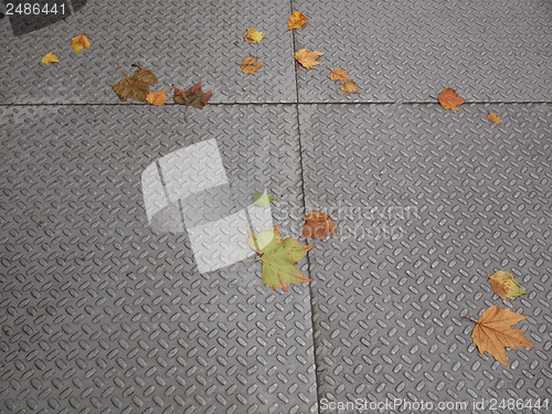 Image of Leaves on pavement