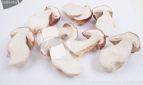 Image of Porcini Mushroom