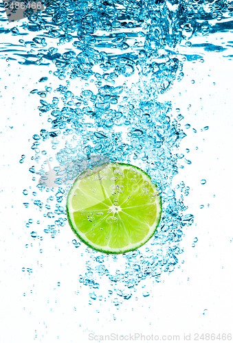 Image of Green lime in the Water.