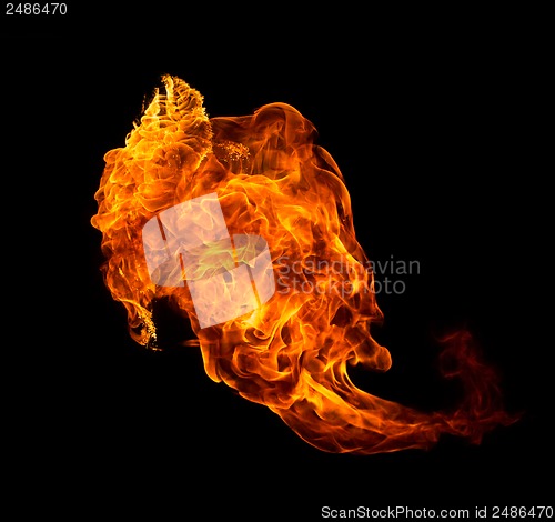 Image of Fire