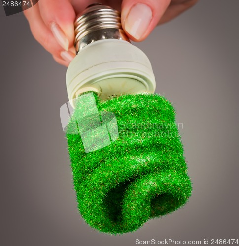 Image of Concept Eco light bulb