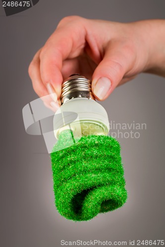 Image of Concept Eco light bulb