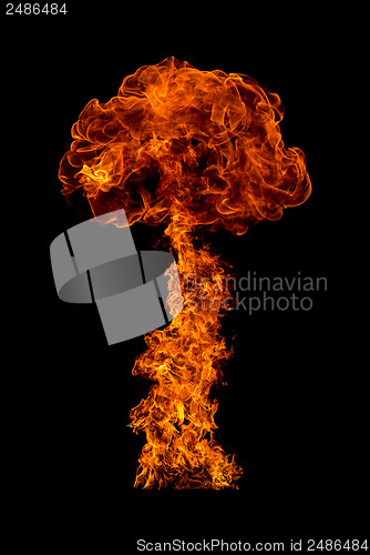 Image of Fire