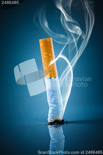 Image of Cigarette butt - No smoking.